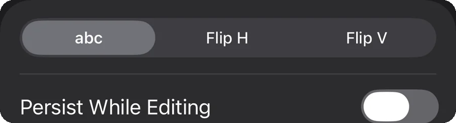 The Mirroring setting with abc, Flip H and Flip V options