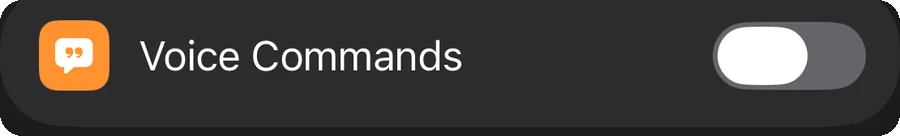 The Voice Commands setting